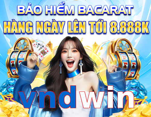 vndwin