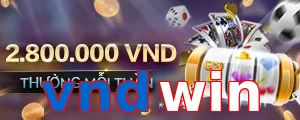 vndwin