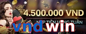 vndwin