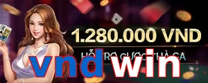 vndwin