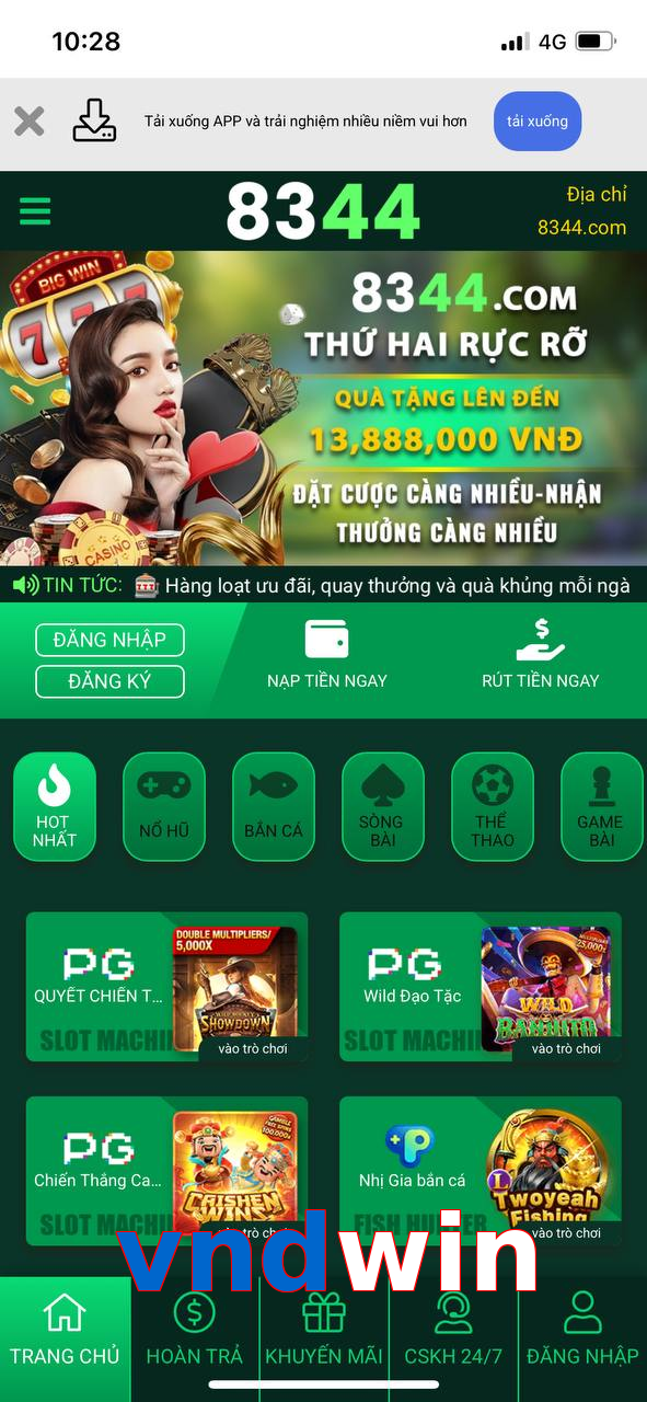 vndwin