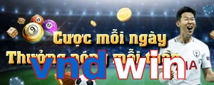 vndwin