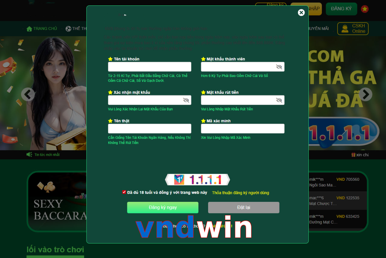 vndwin